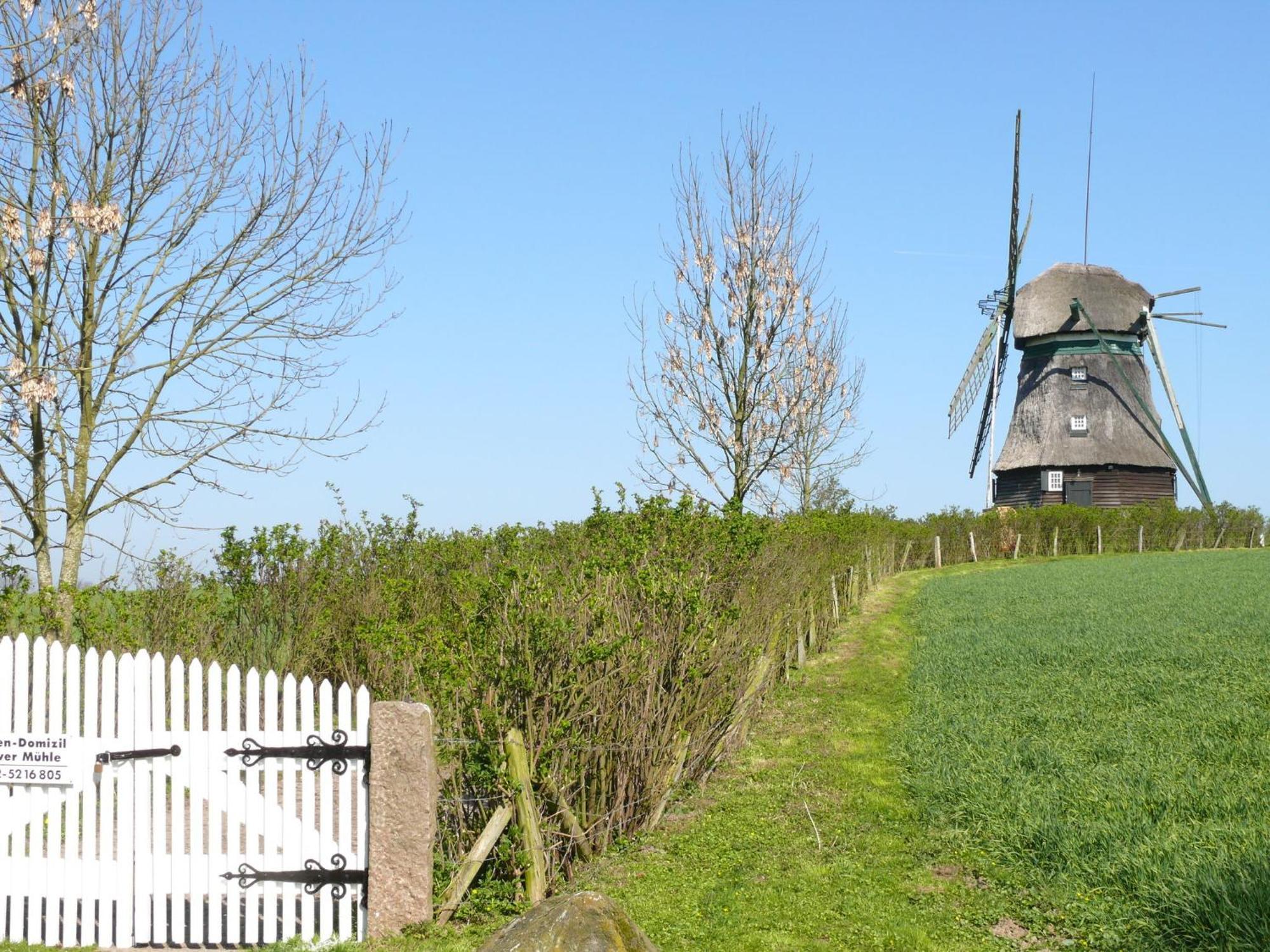 Beautiful Authentic Mill Close To The Beach Wangels Kültér fotó