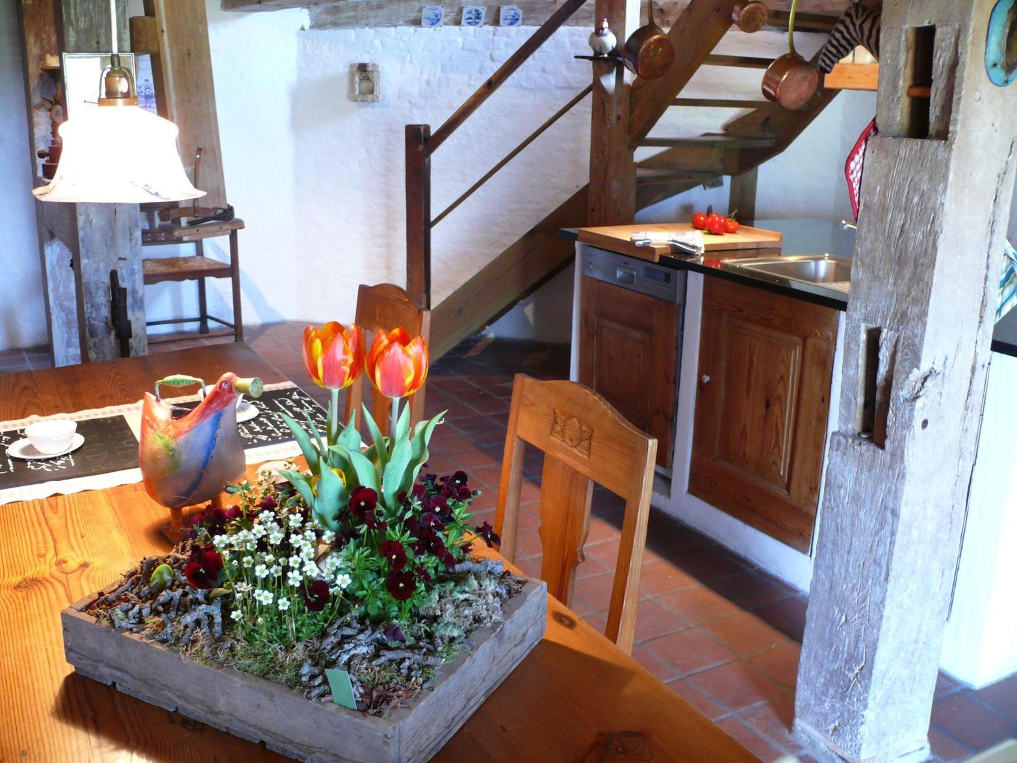 Beautiful Authentic Mill Close To The Beach Wangels Kültér fotó