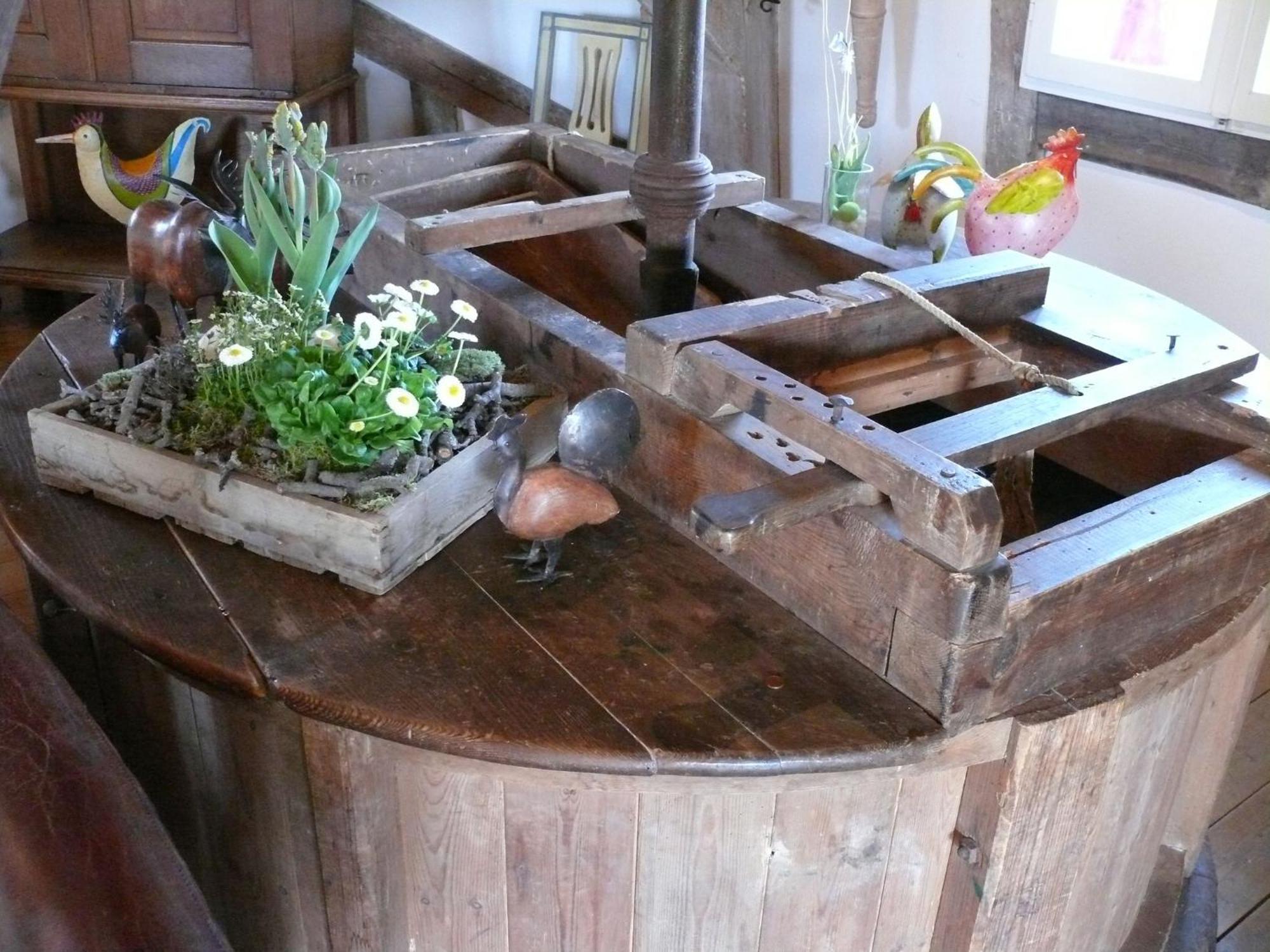 Beautiful Authentic Mill Close To The Beach Wangels Kültér fotó